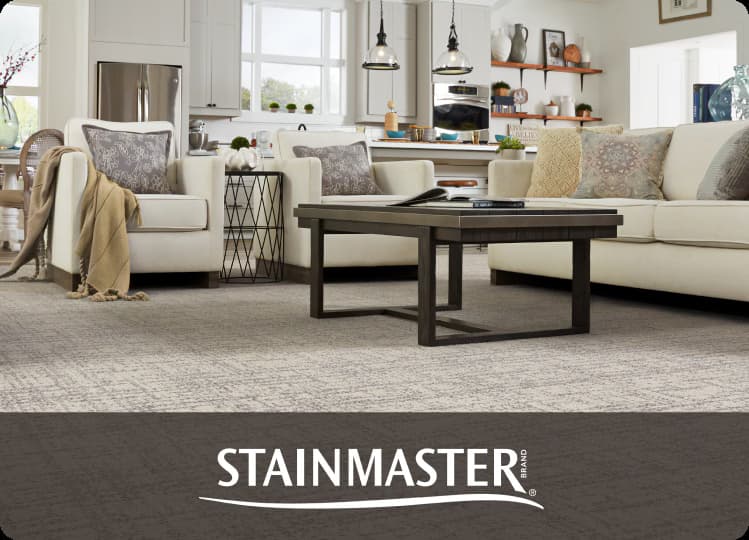STAINMASTER'dan Al