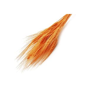 Duvar Tablosu Evin dekoruna sanatsal bir dokunuş ekler.